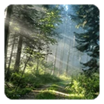 Logo of Forest Live Wallpaper android Application 