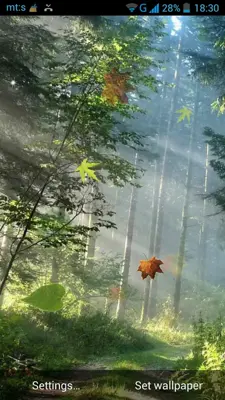 Forest Live Wallpaper android App screenshot 4